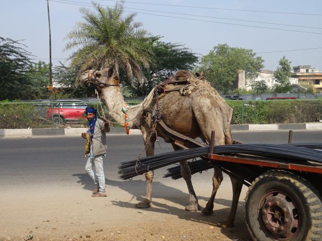 Jaipur